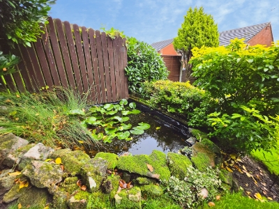 Picture 25